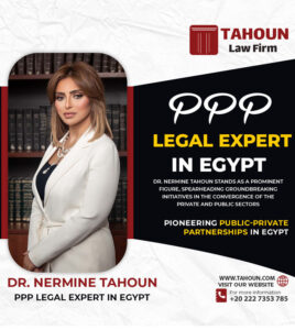 ppp legal expert in Egypt